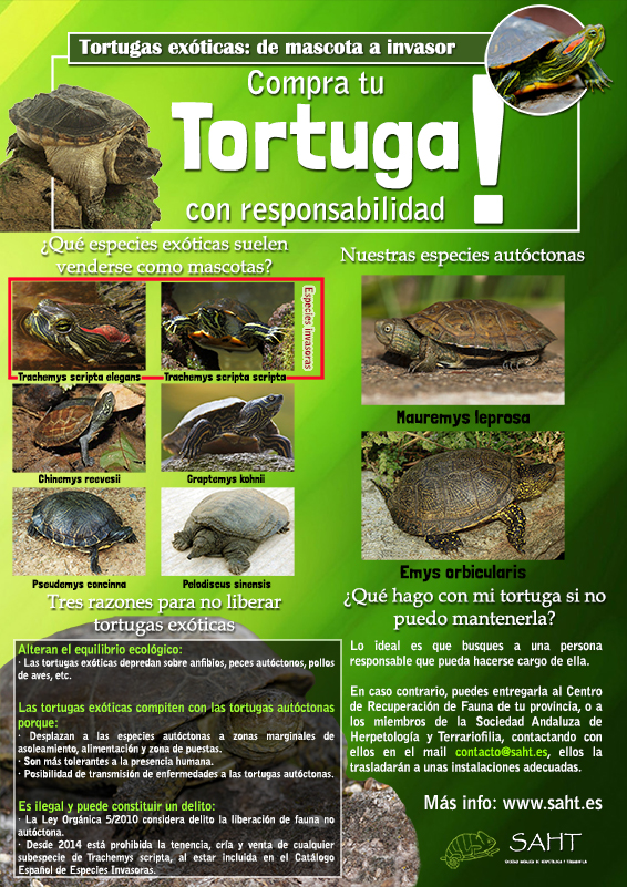 Cartel Tortugas Invasoras